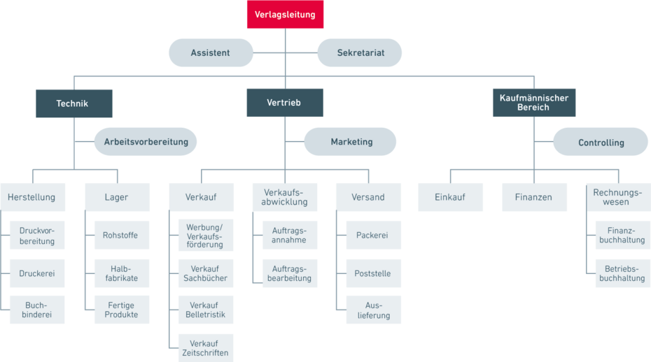 Einlinienorganisation mit Stab, Organigramm Beispiel