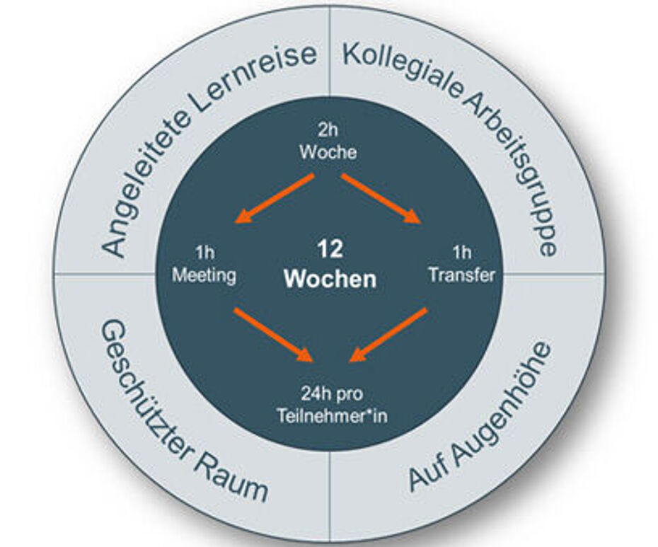 Modell-Selbstwirksamkeit-Unternehmen-Entwicklung