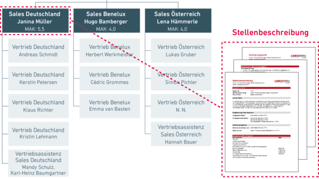 Stellenbeschreibung, Alle Inhalte einer Stelle zum Beispiel aus einem Organigramm