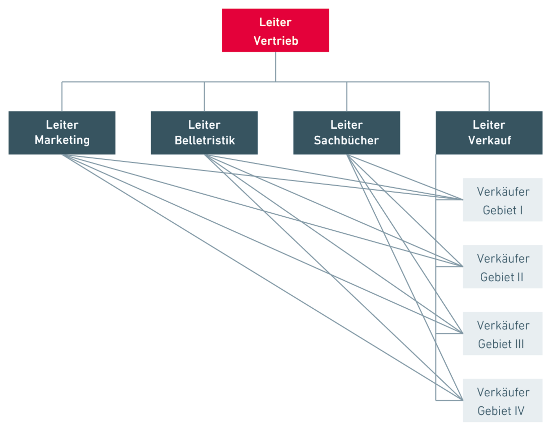 Mehrlinienorganisation Organigramm Beispiel