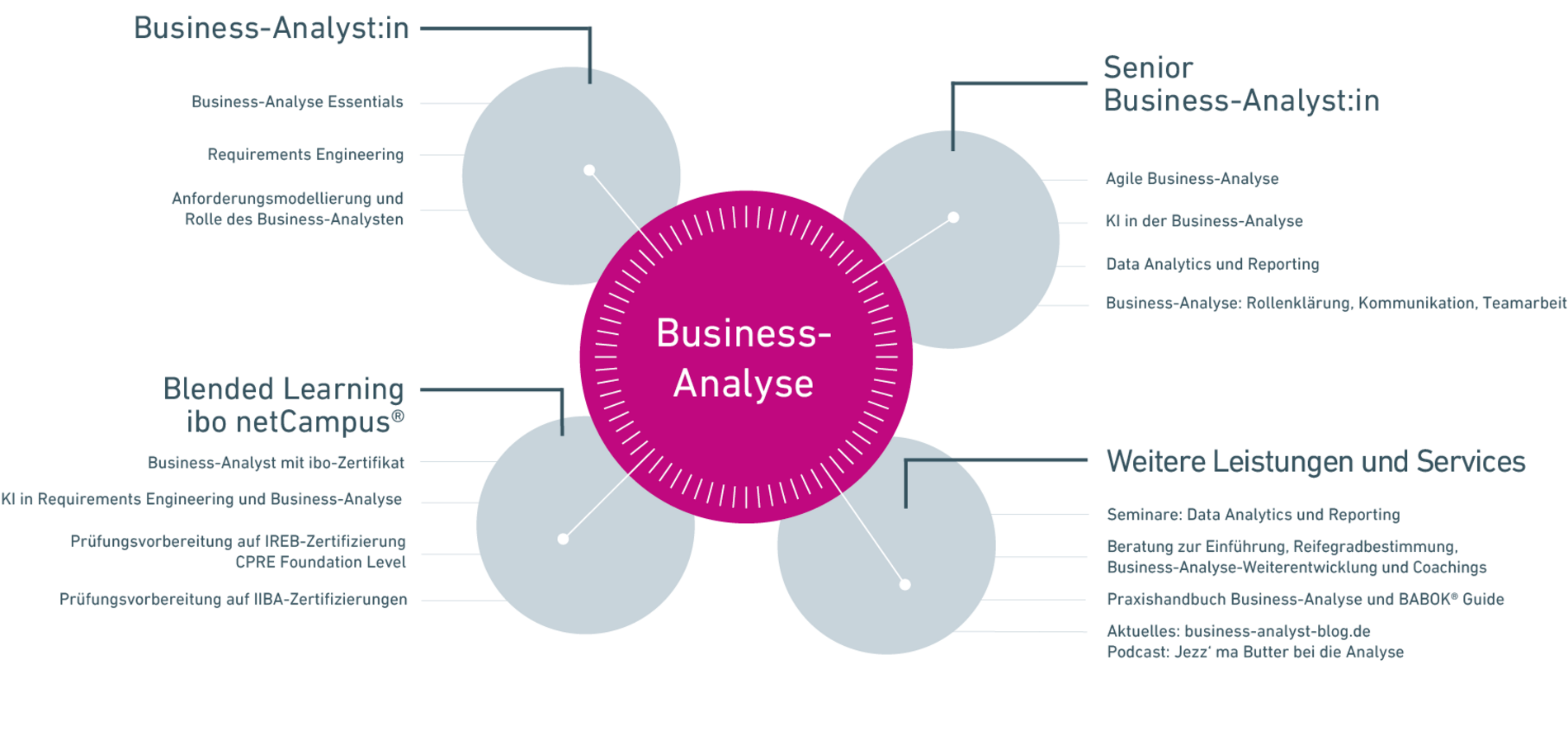 Business Analyse bei der ibo Akademie
