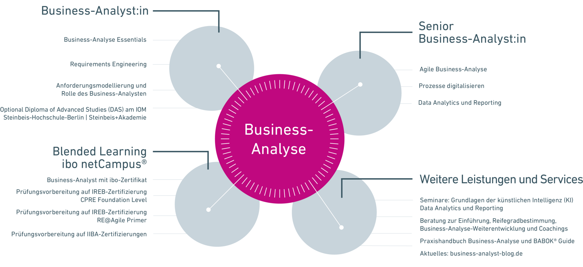 Business Analyse bei der ibo Akademie