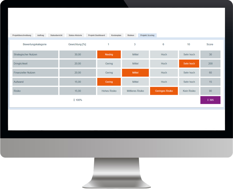 ibo netProject Projekt-Scoring Screenshot