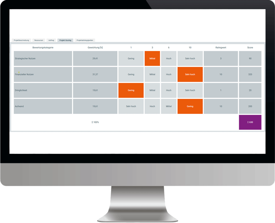Übersicht am Bildschirm über Projektpriorisierung von ibo netProject